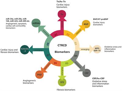 Advances in Biomarkers for Detecting Early Cancer Treatment-Related Cardiac Dysfunction